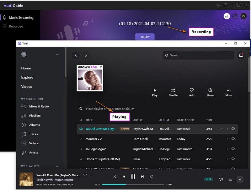convert tidal music to mp3 with audicable audio recorder