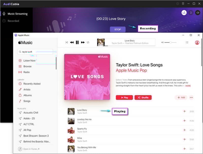 download apple music playlists