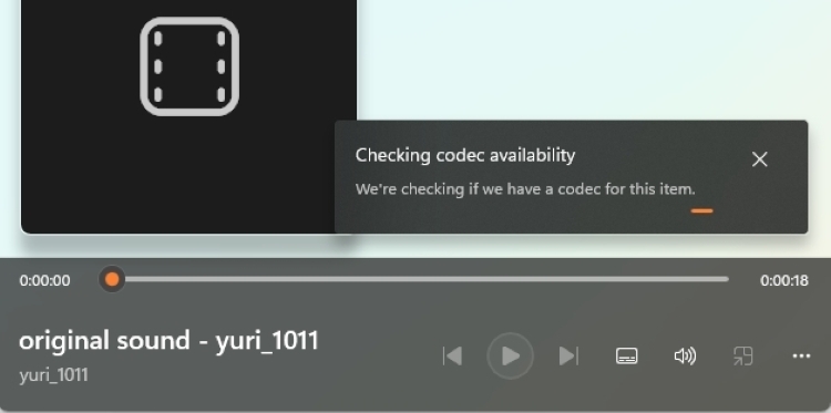 Need Additional Codec