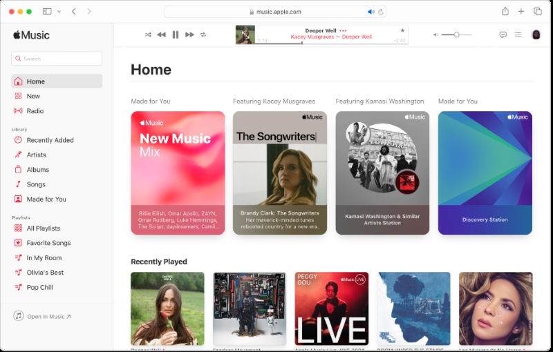 Apple Music Interface