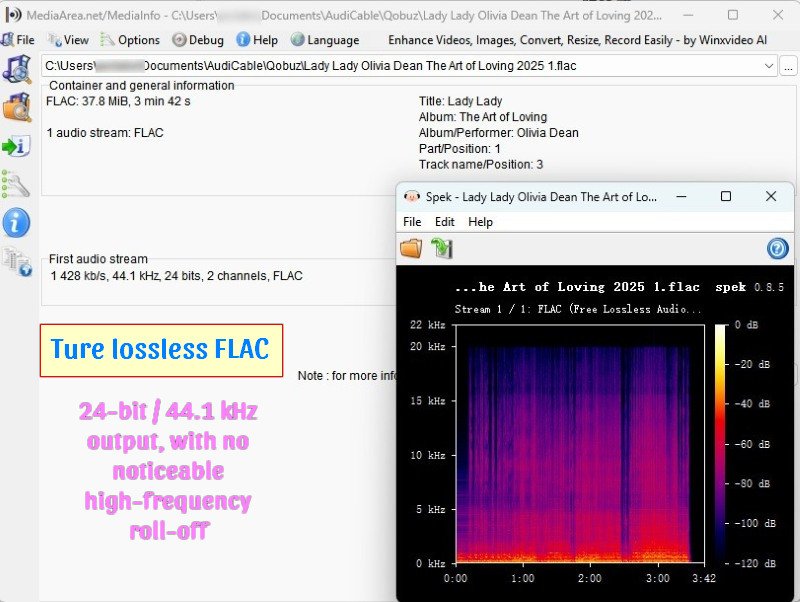 AudiCable Audio Quality