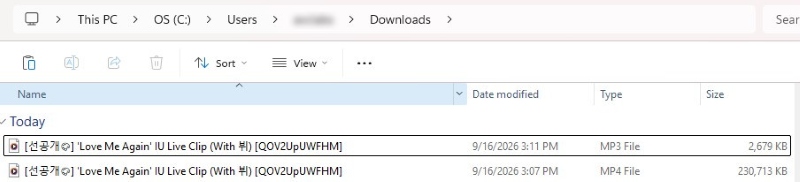 Check Downloaded MP4 and MP3 Files