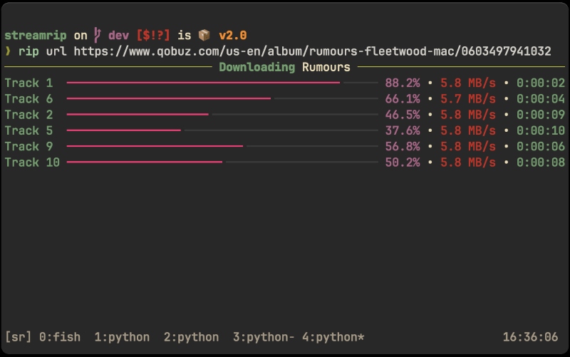 Streamrip Downloading Music