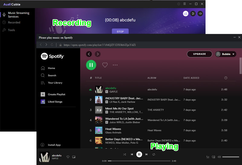 Download Spotify Music to Computer