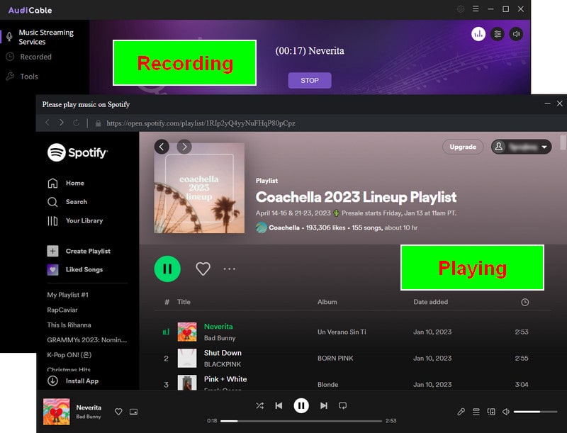 Downloading Coachella Music