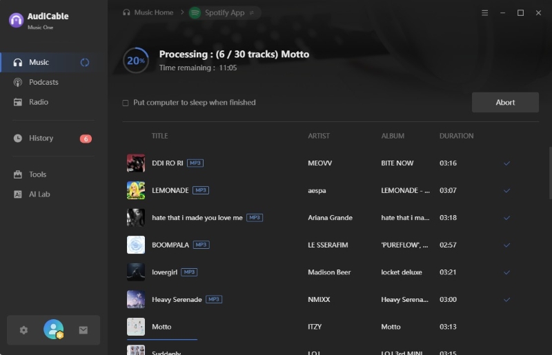 Converting Spotify Playlist to MP3