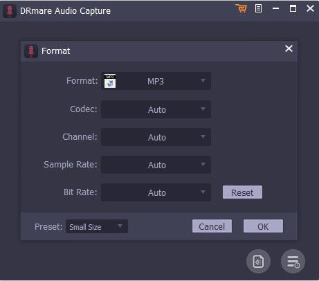 output formats of DRmare Audio Capture 