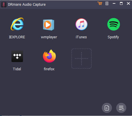 DRmare Audio Capture 