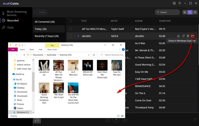 Check Downloaded Grammy Songs