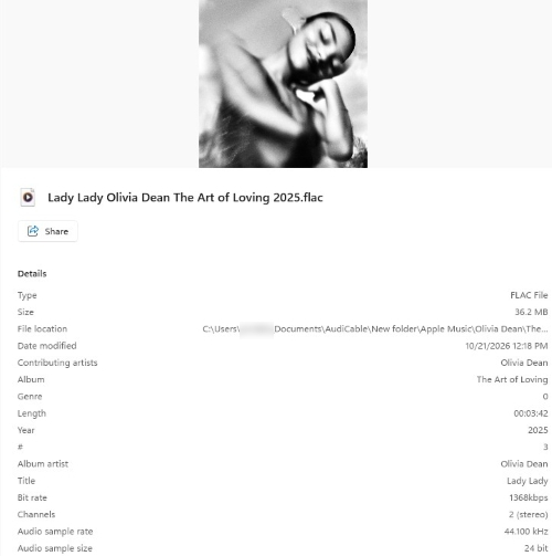 AudiCable Metadata Kept