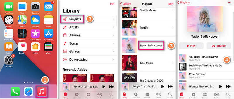 playback of spotify on iPhone 13