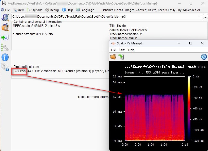 MusicFab All In One Audio Quality