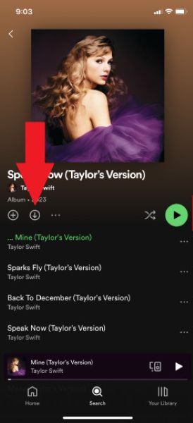 Open Spotify App