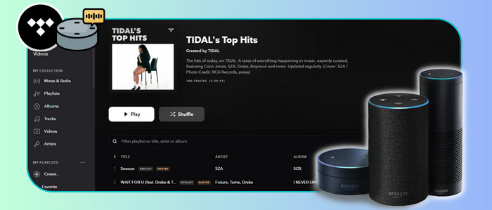 Stream Tidal Music on Amazon Echo