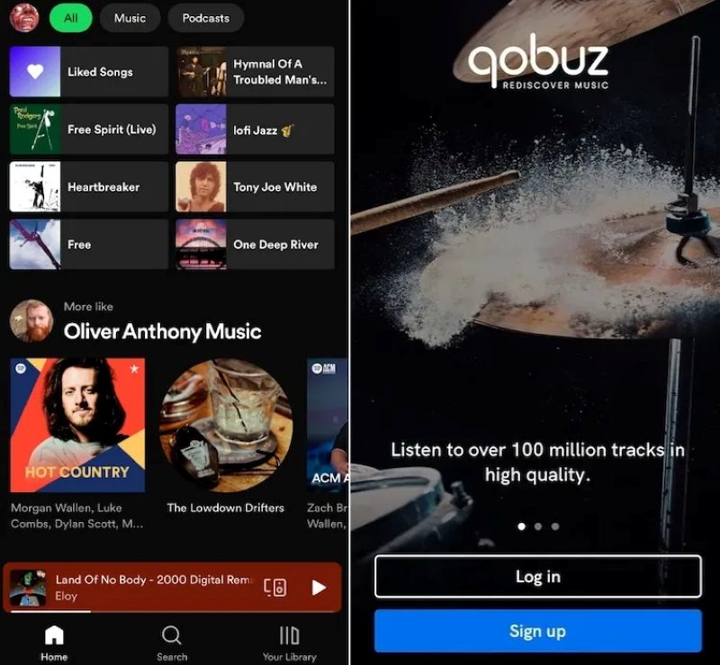 Catalog vs Curation