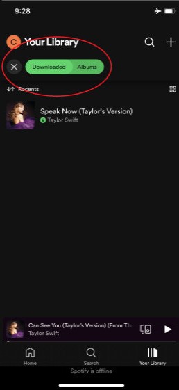 View Downloaded Tracks