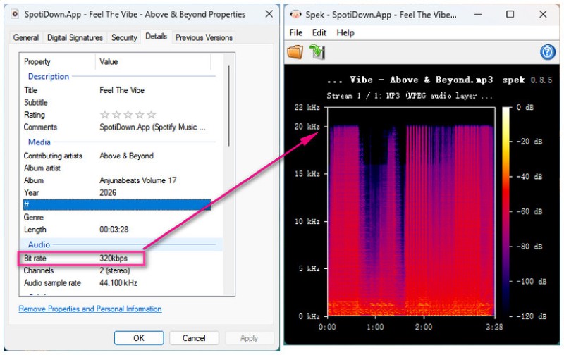 Audio Quality of Spotidown.app