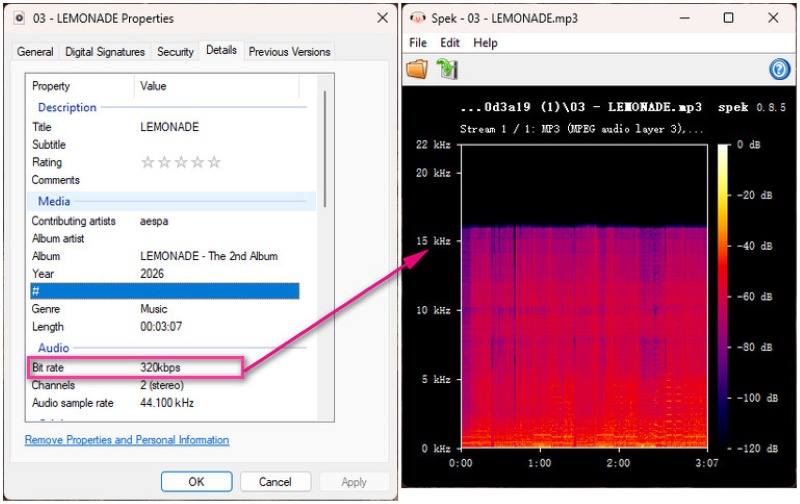 Audio Quality of Spotidown.me