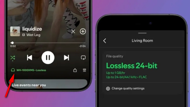 Spotify Lossless Badge