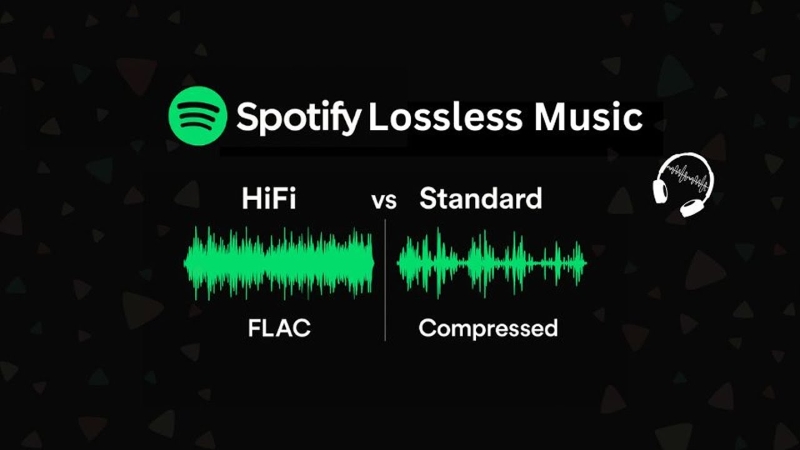 Spotify Lossless Wave VS Stand Wave