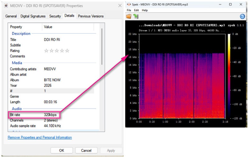 Audio Quality of SpotiSaver