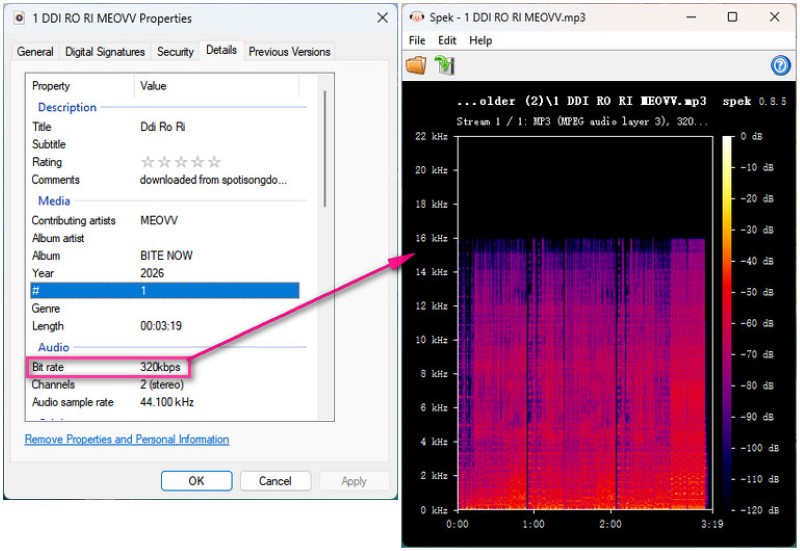 Audio Quality of Spotisong Downlaoder