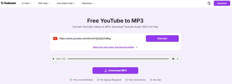 Toolsmart YouTube Audio Converter