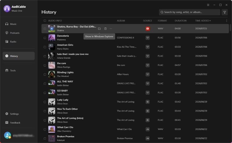 Check YouTube Audio Downloads