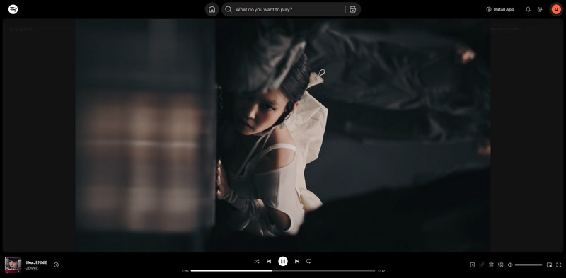 View Spotify Music Video