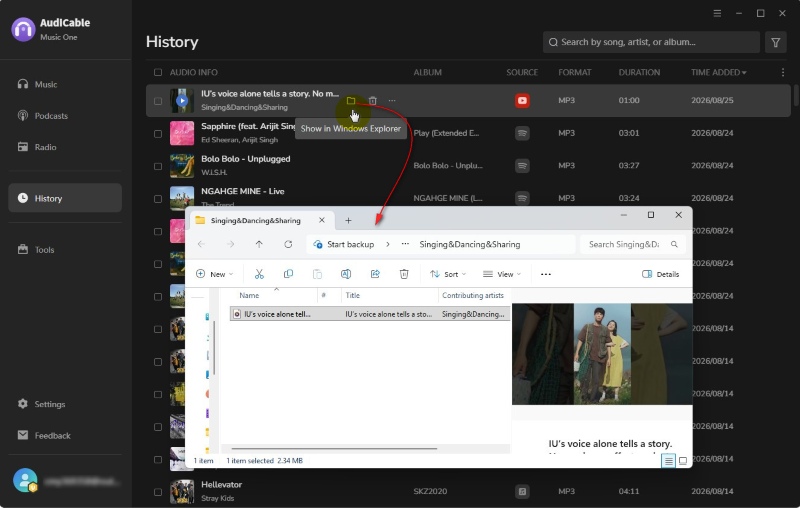 Get YouTube Short MP3 Audio