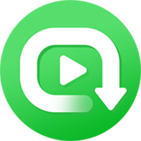 Netflix Video Converter