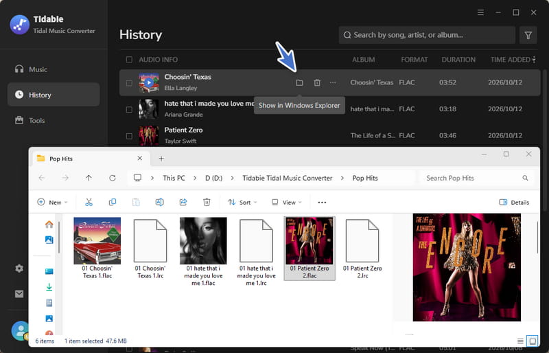 downloaded tidal music on tidabie