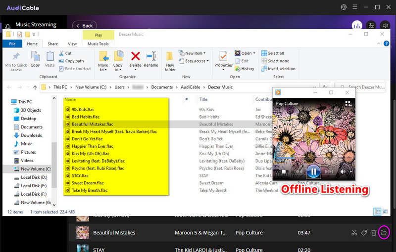 save Deezer Music as flac songs