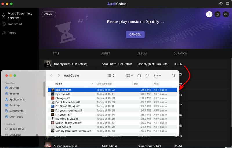 Check Spotify FLAC Audios