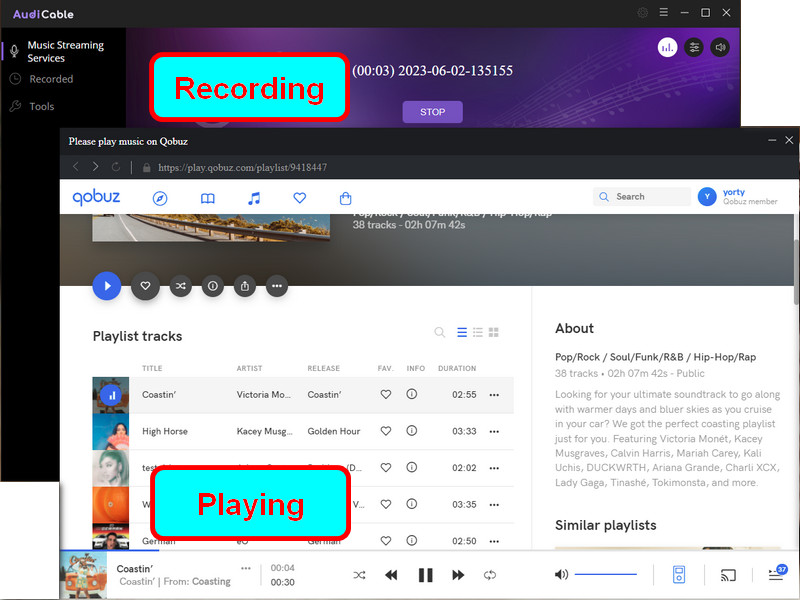 Recording Qobuz Music Locally