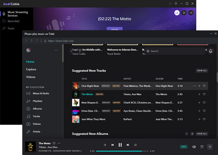 recording tidal music