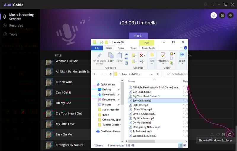 adele 30 album in mp3 format.jpg