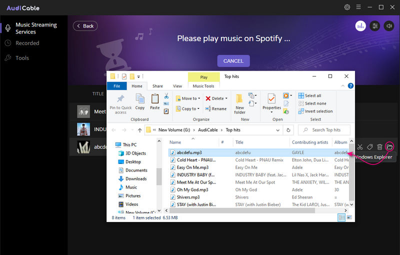 check downloaded spotify music
