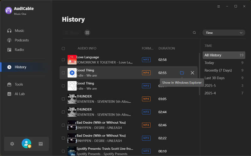 Spotify MP4 Music Videos