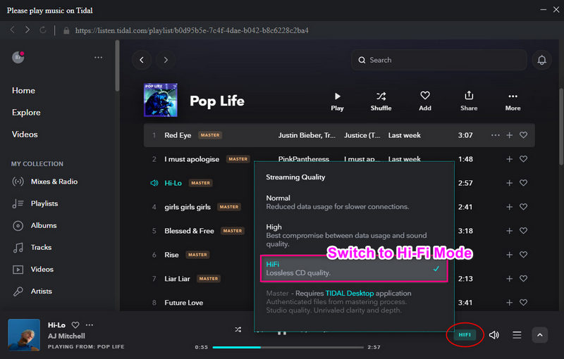 save tidal music to mp3