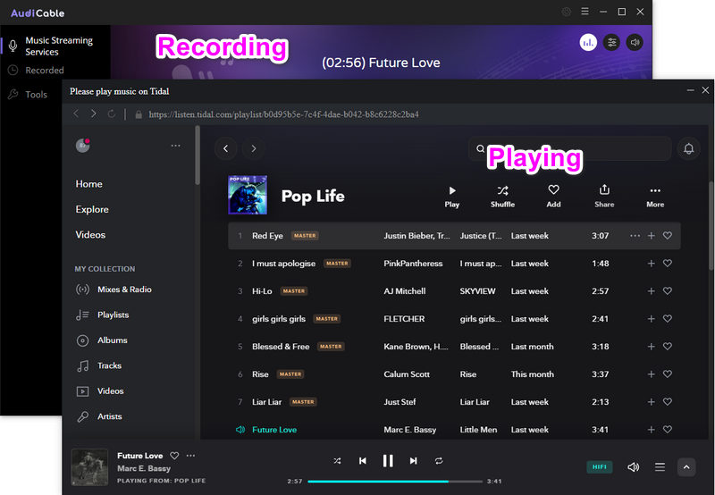 download tidal music to mp3