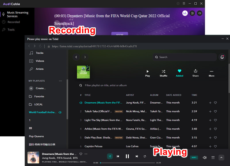 Start Recording Tidal