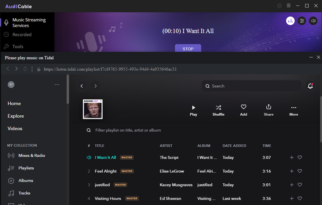 start downloading tidal music